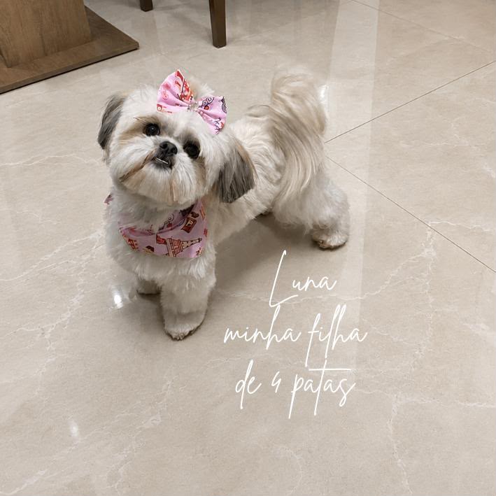 Ímã personalizado com foto da Luna, cachorrinha da família